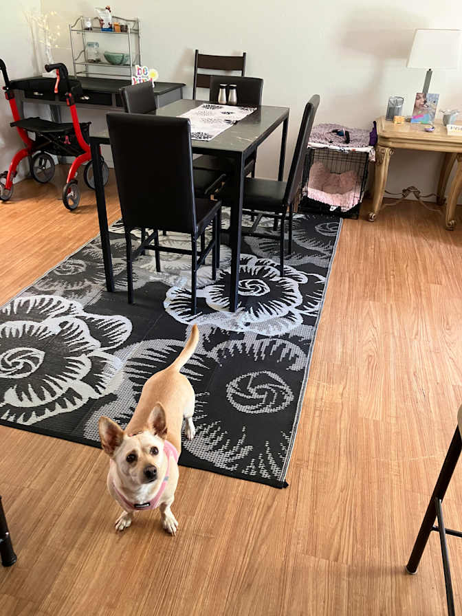 Debbie's room