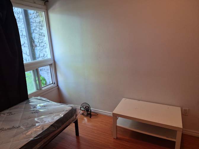 Noah's room
