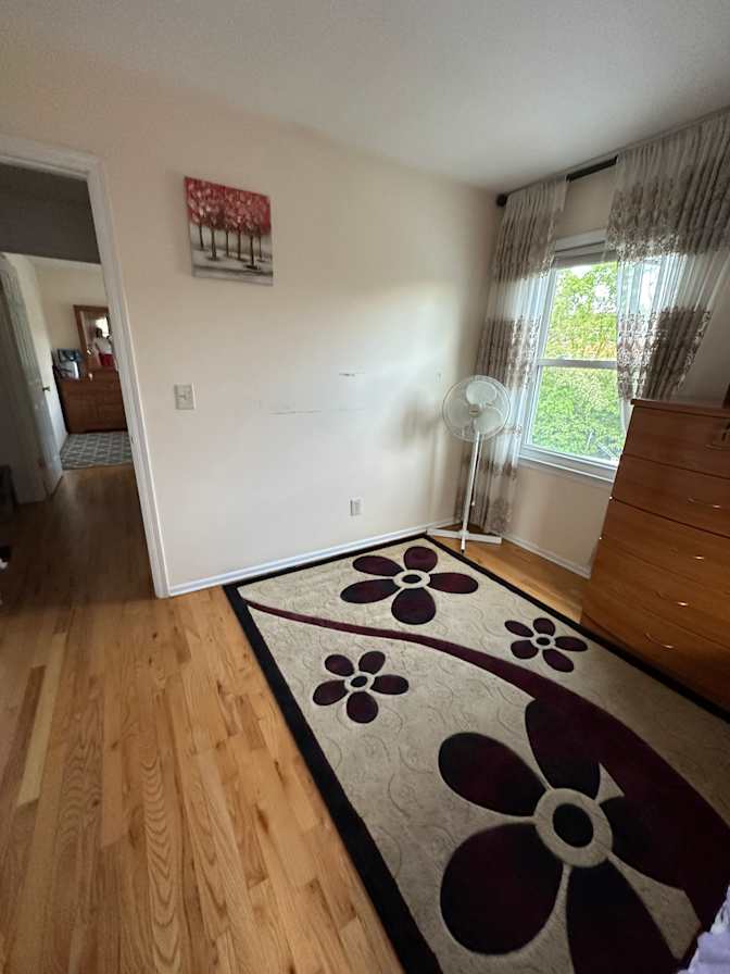 Geny's room