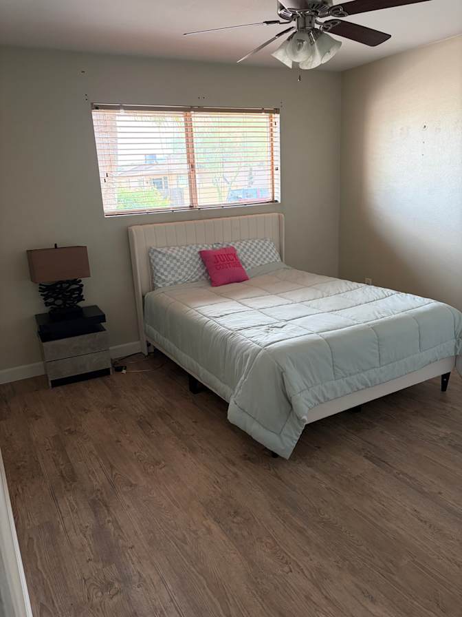 Alicia Lichok's room