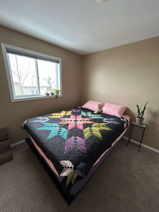 Halley's room