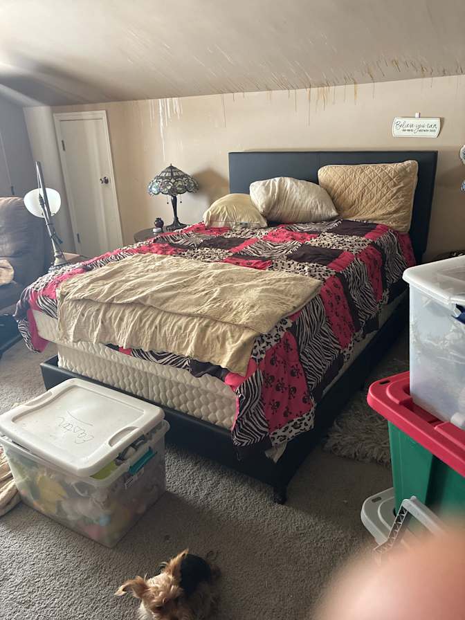Tammy Charnock's room