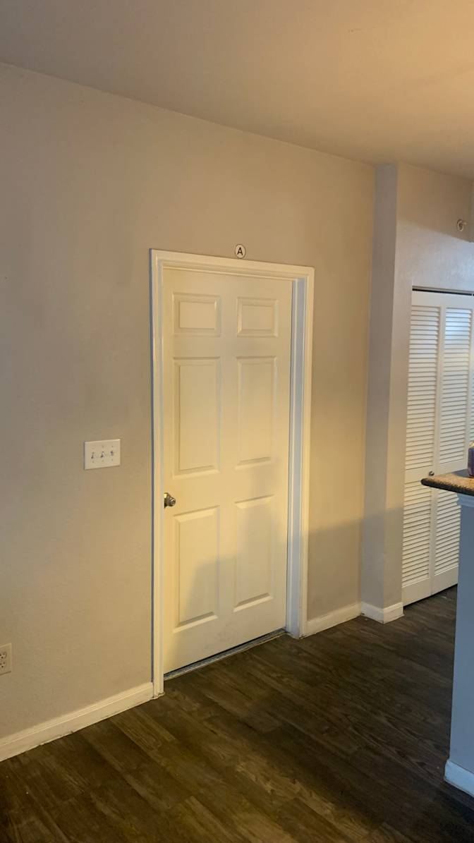 Ally chelady's room