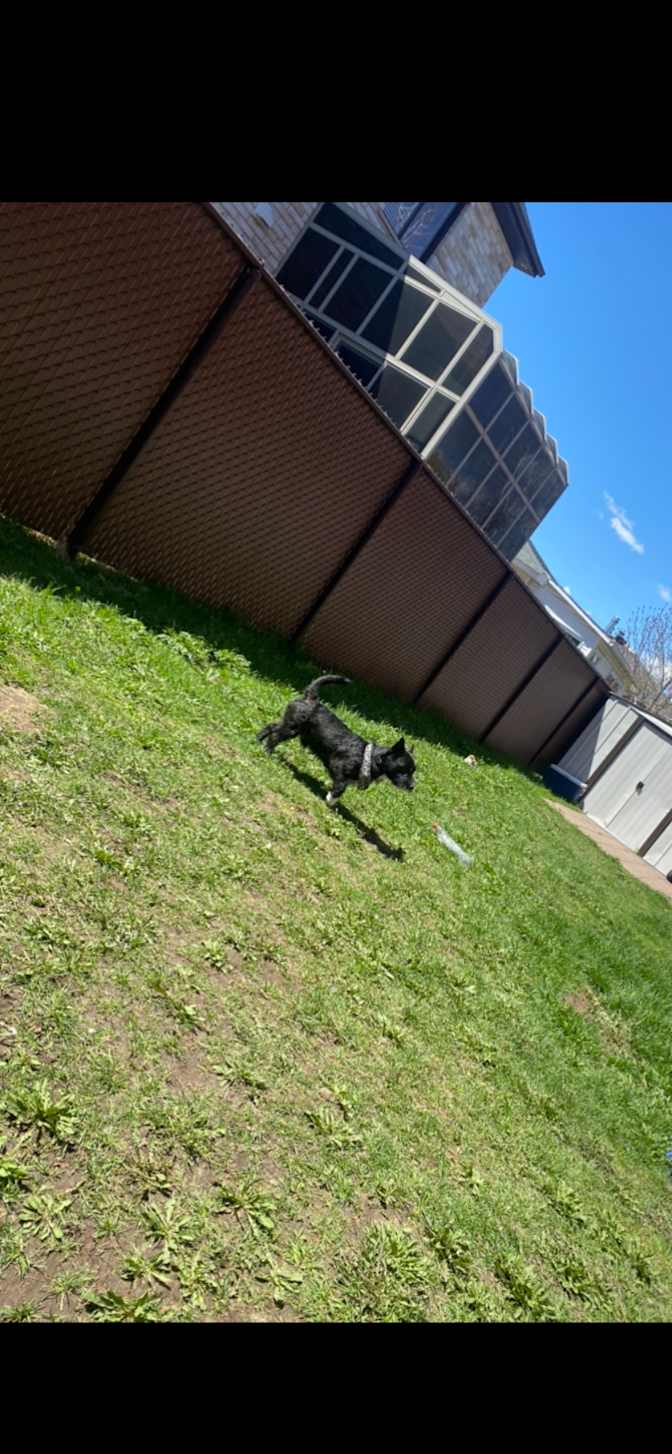 Michelle Clidaras's room