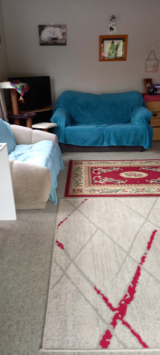 Suzanne's room