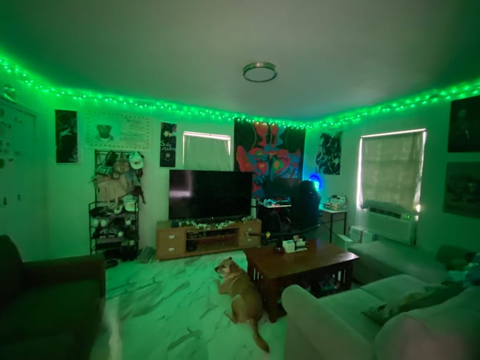 Jossie's room