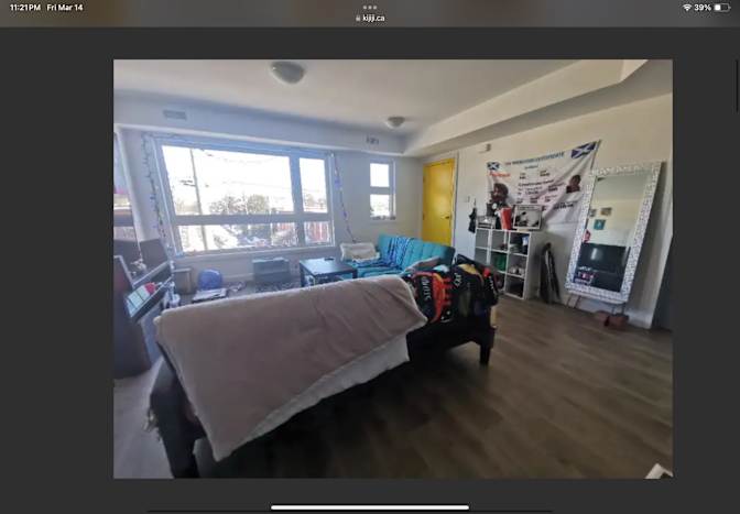 Rebecca Palmer's room