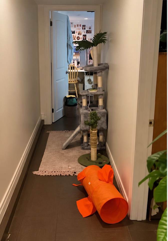 Rafeena's room