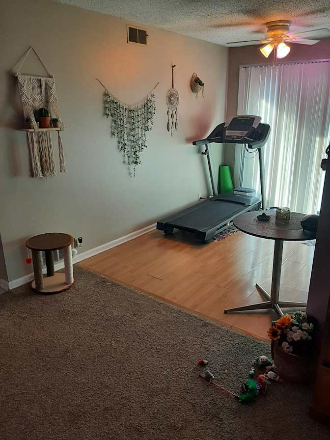 Rylee's room