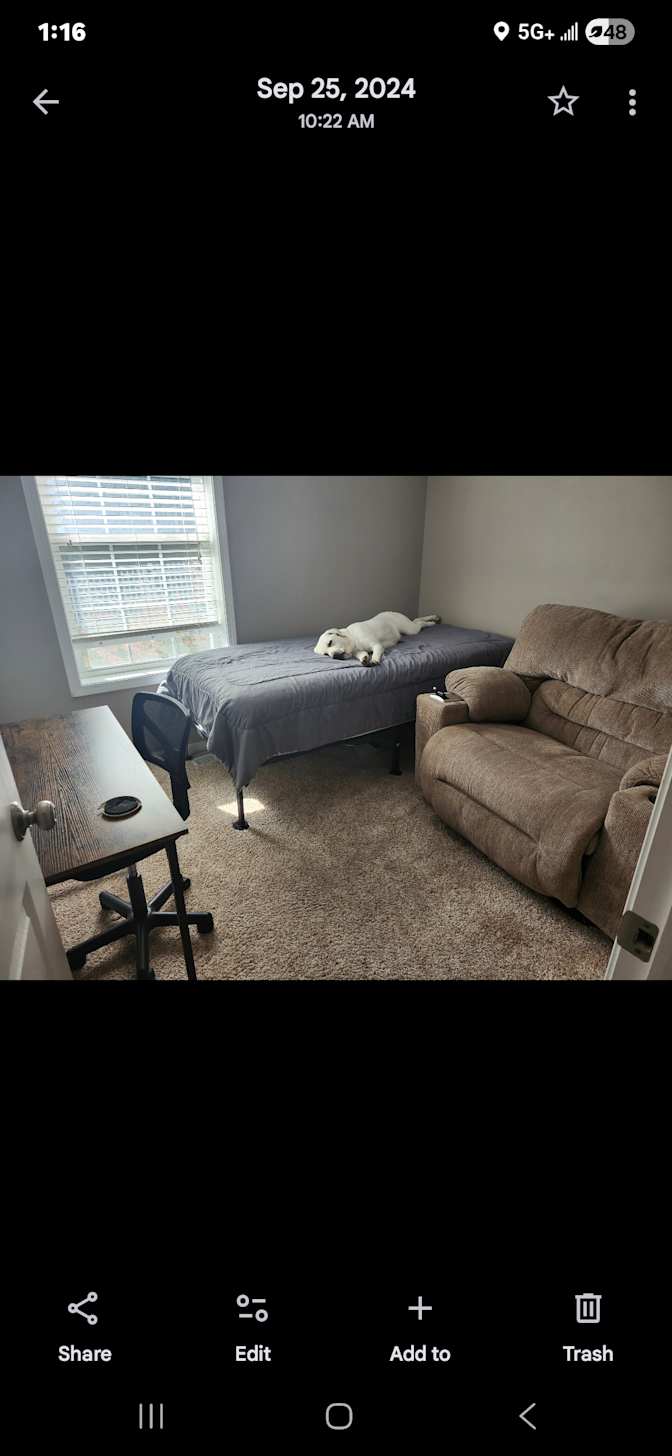 Antonio's room