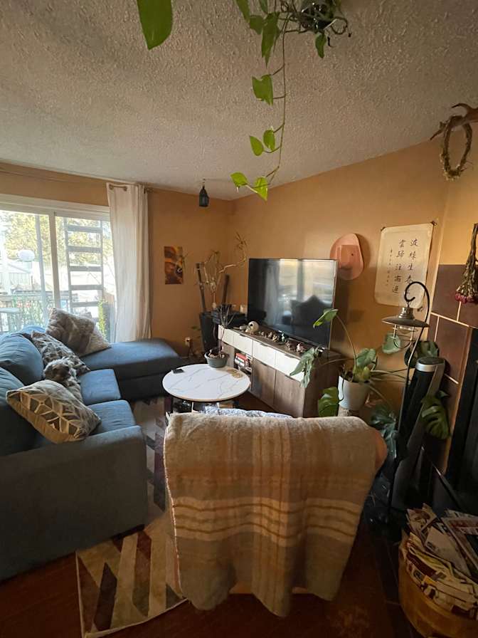 J Francisco Rivera's room