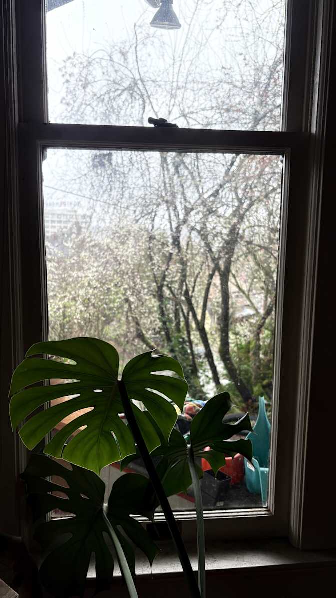 Ashlee's room