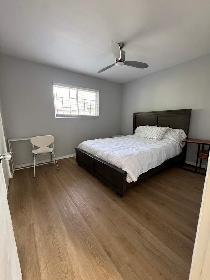 patricia's room