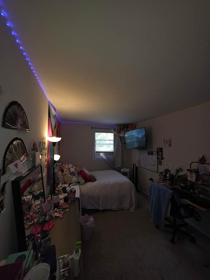 Rose's room