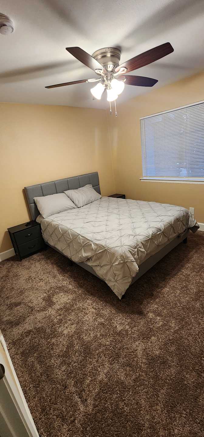 Dillard's room