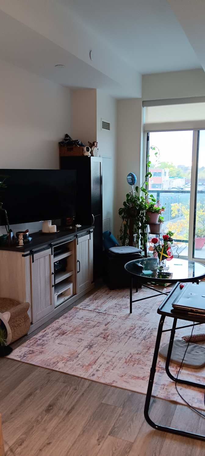 Andrea's room