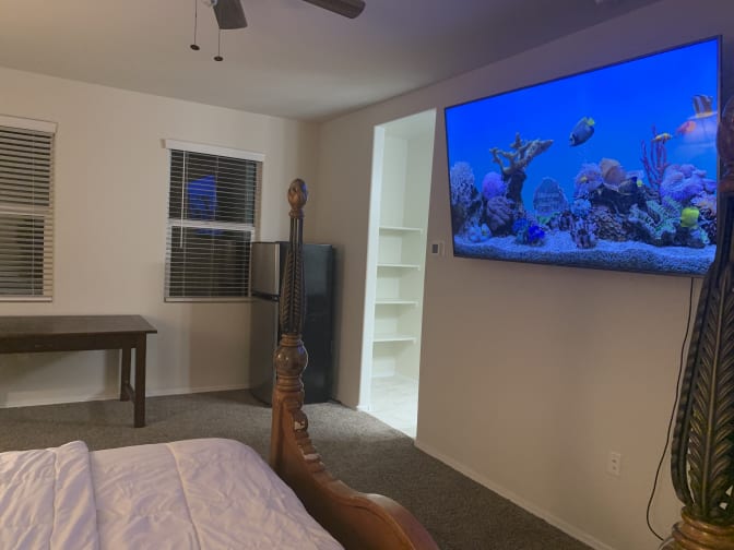Mike's room