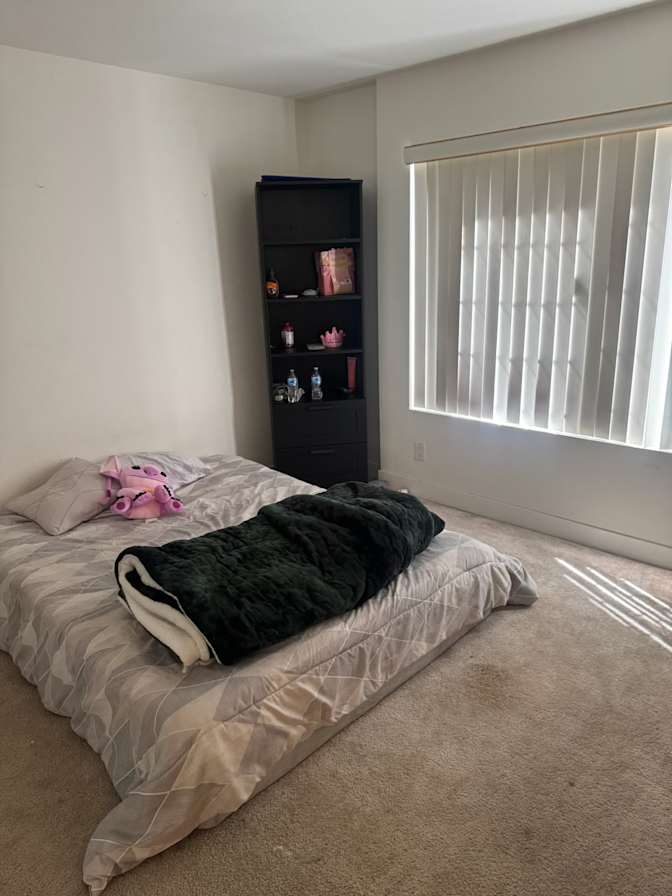 Sophia L's room