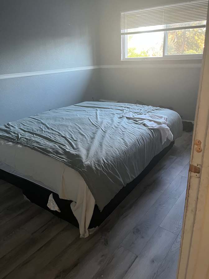 Rose's room