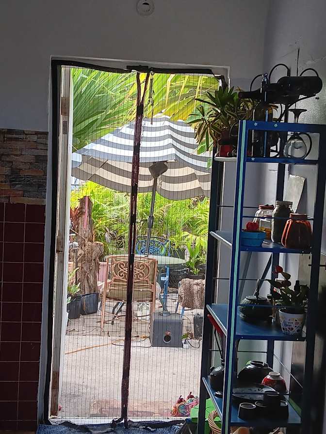 Millicent's room