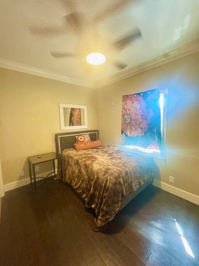 Kal's room