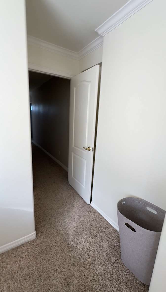 Lauren's room