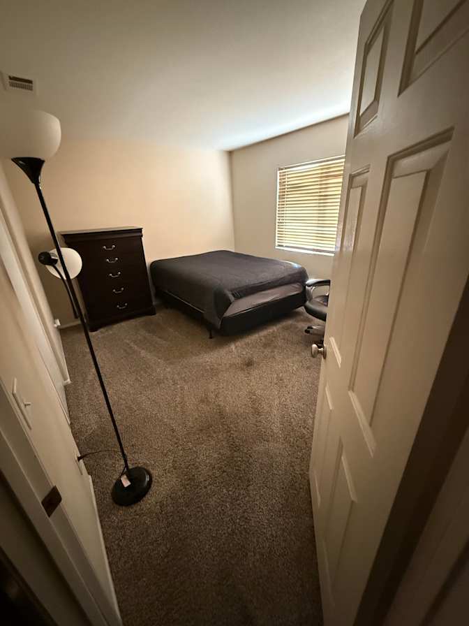 spaintal's room