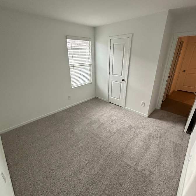 Cat's room