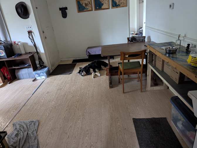 Fallon's room