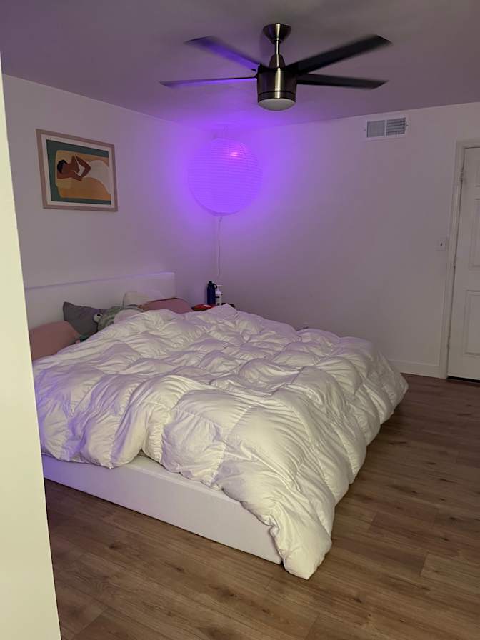 Taylor's room