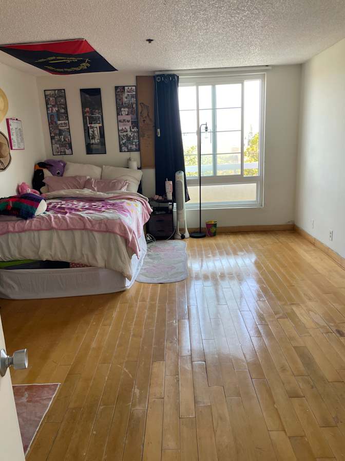 Lanet's room
