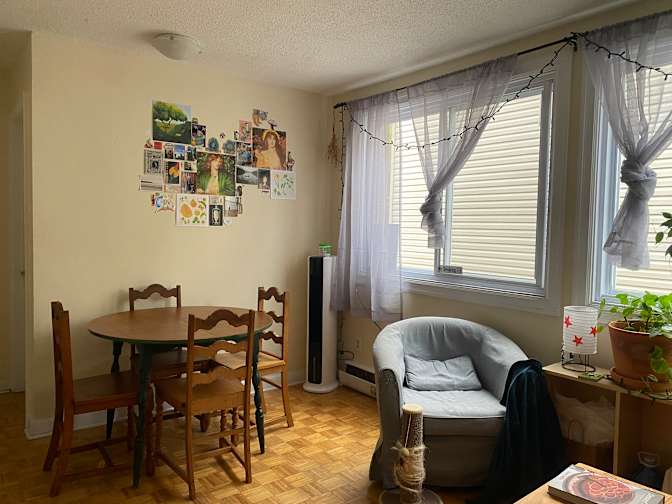 Sheida Mousavi's room