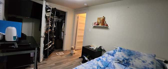 Andrea's room