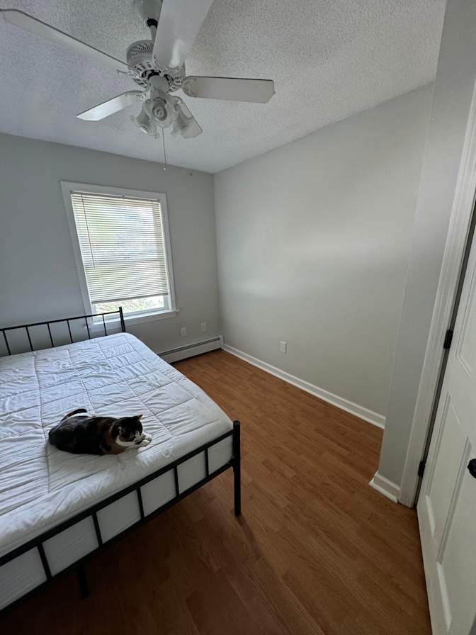 Stephanie's room