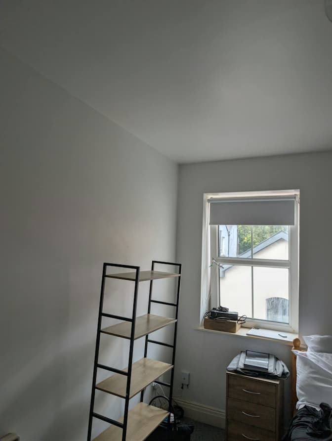 Shane's room