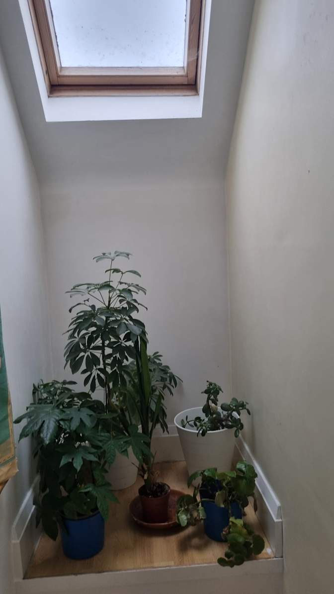 Siobhan Mercier's room