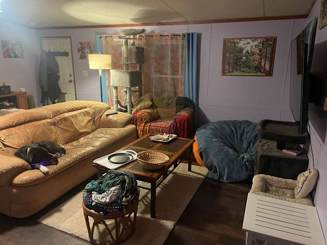 Jeff's room