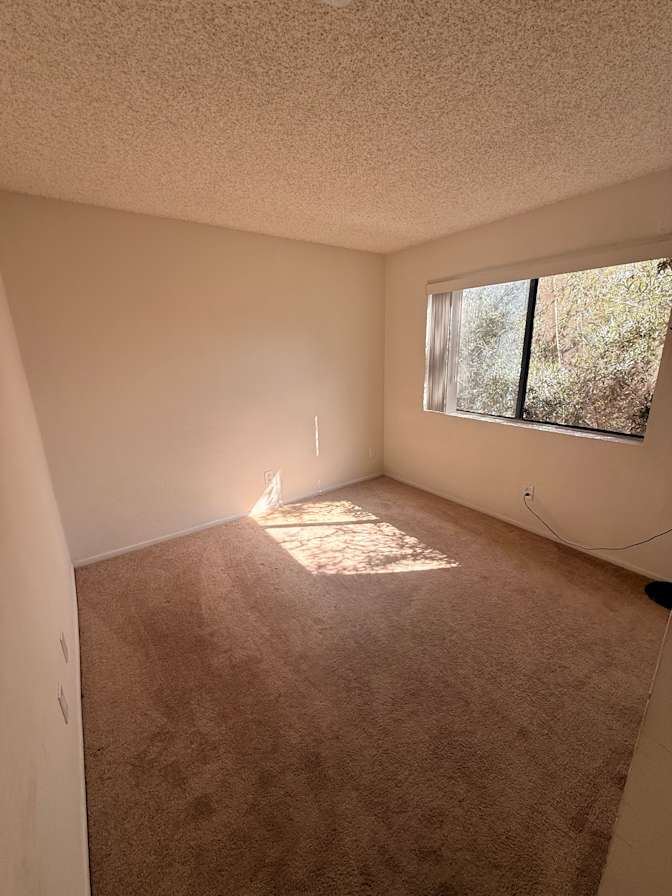Nik Shaw's room