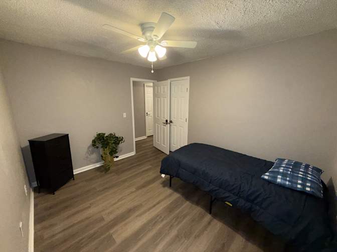 Lioness's room