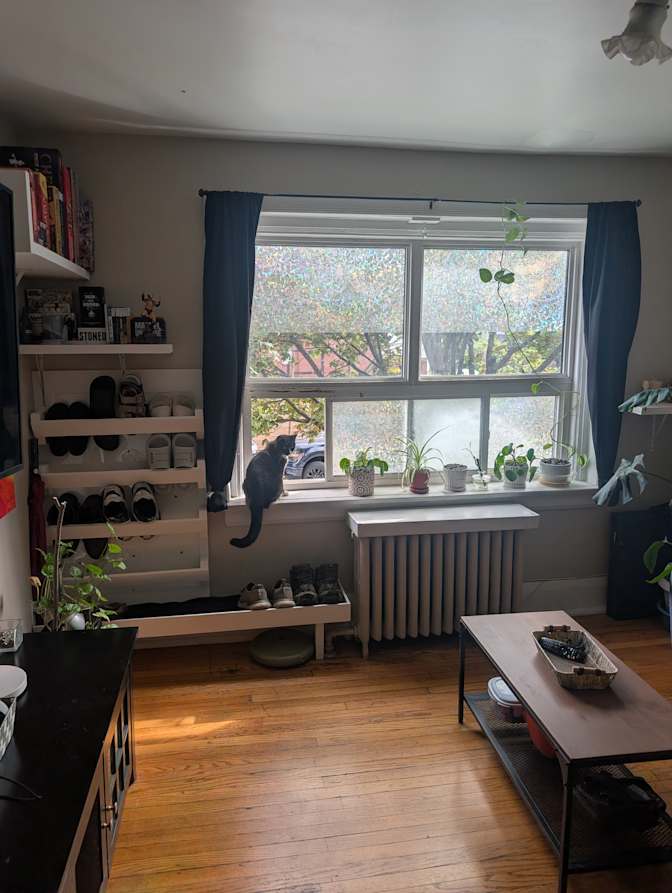 Adriano's room