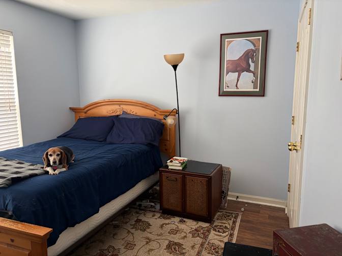 Susan's room