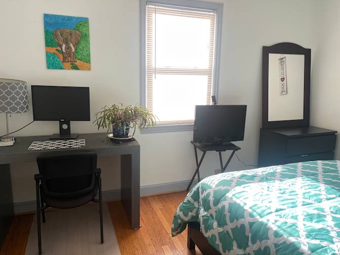 Momentum's room