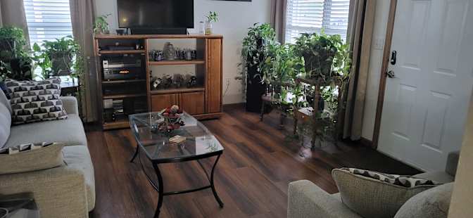 David's room