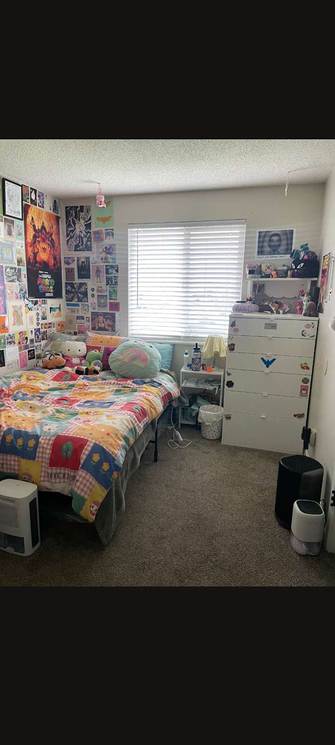 Tegan's room