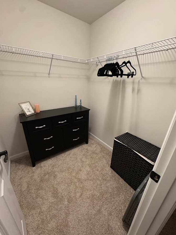 sammy's room