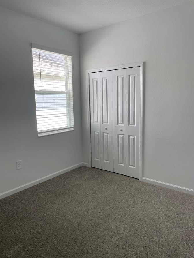 shawna's room