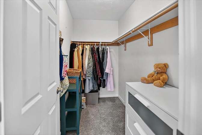 Pari's room