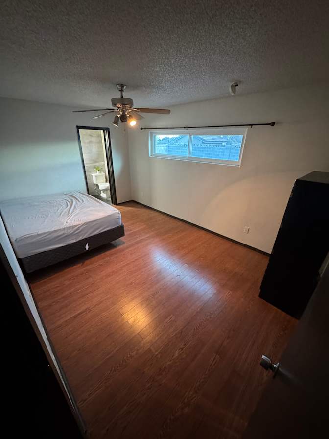 Shawn's room