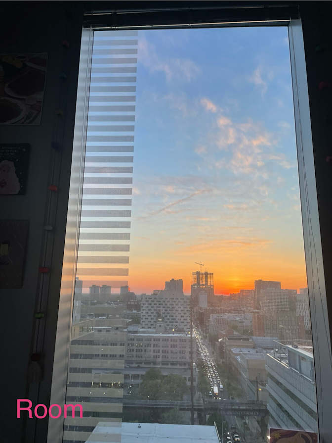 ani's room