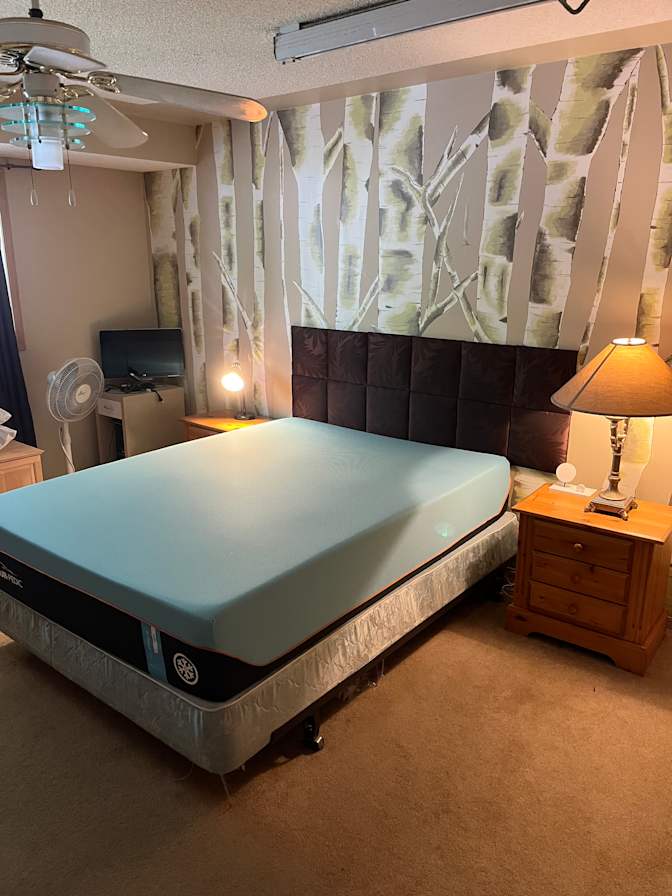 Albert's room